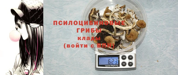 mix Гусиноозёрск