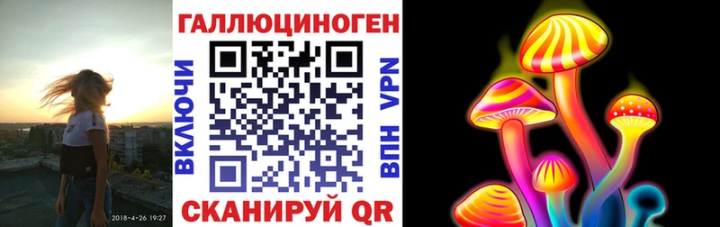 omg как войти  где продают   Дятьково  Псилоцибиновые грибы Cubensis 