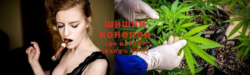 Бошки марихуана White Widow  маркетплейс клад  Дятьково  МЕГА ССЫЛКА 